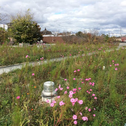 Omni Green Roof - Outdoor Products