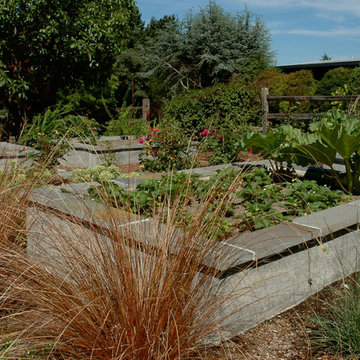 Raised beds