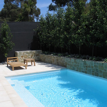 Classic family pool and landscape