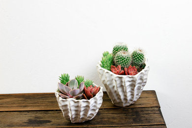 Succulent Planter Pair White Handmade Pottery Echeveria, Cactus, Graptosedum