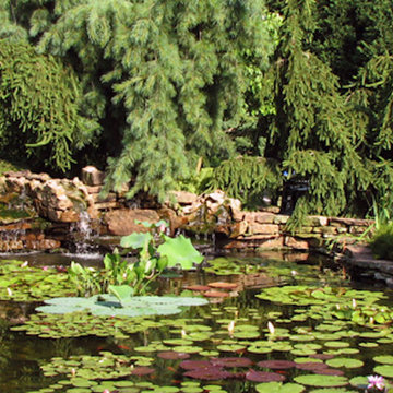 Landscapes