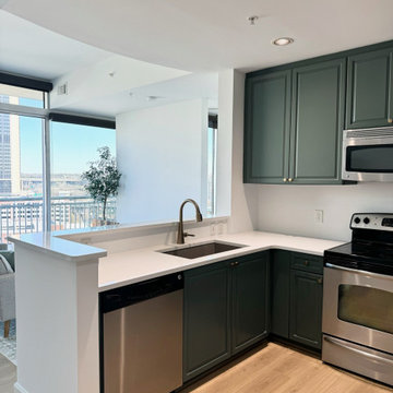 Condo Renovation Downtown