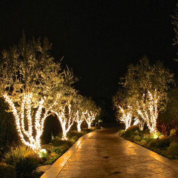 Holiday Lighting - 2014 Season