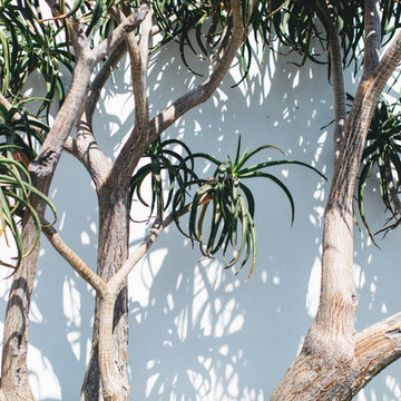 LANDSCAPES