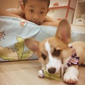 Foto de 楊淑華
