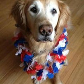 Laura Geiger's photo