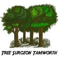 Tree Surgeon Tamworth's profile photo

