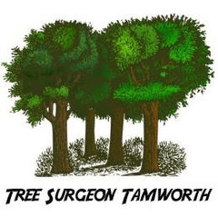 Tree Surgeon Tamworth