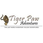 Tiger Pawss foto