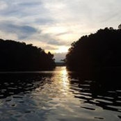 Mahmood Siddiqui's photo