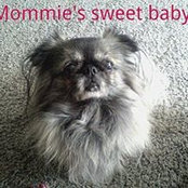 June Coleman's photo