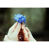 Rasha Taleb's photo