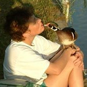 Foto von Kelly Hebert