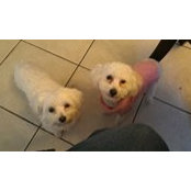 Gerry Aguilar-Torres's photo