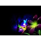 Cherry Almonares's photo
