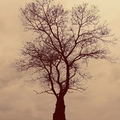 Andrew Jutte's photo