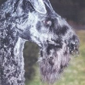 Carol Kearney's photo