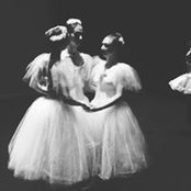 Amanda Wade's photo
