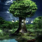 Ika Marton's photo