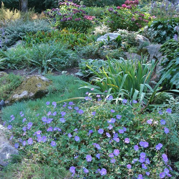 Shady Rock Garden