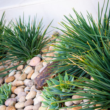 Contemporary Planting Area w/ Cobble