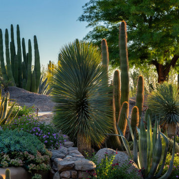 High Desert Design / Bertch Residence / Estancia - Scottsdale Az.