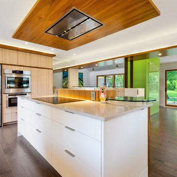 Level II 1960 Rejuvenation - Ground Floor Remodel