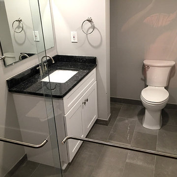 New Contemporary Basement Bathroom