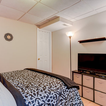 Basement Guest Room
