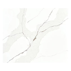 Calacatta Melaza | Sintera: Zero Silica Surfaces Collection - Kitchen Countertops