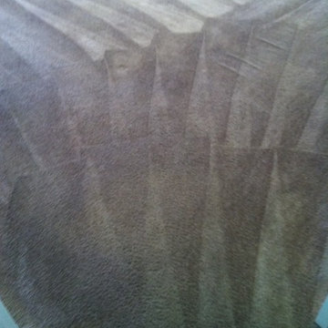 Carpet Cleaning and Dye