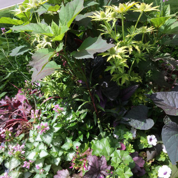 Upscale Landscape Renewal and Remake