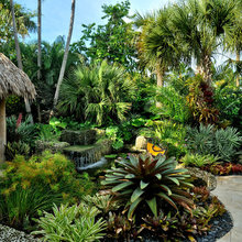 Garden - boarders/planting