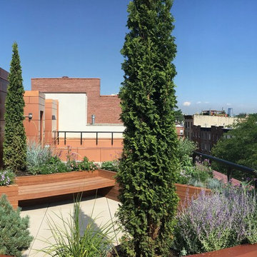 Rooftop garden 5