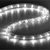 DELight 50' 2-Wire LED Rope Light Outdoor Home Decoration, Cool White