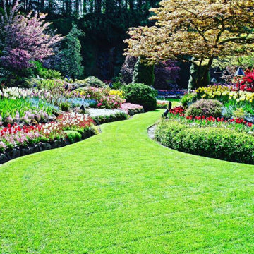 Lawn Mowing, Care, Maintenance, and Landscaping in Lafayette, LA