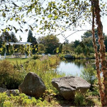 Pond