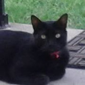 Tracy Salvage's photo