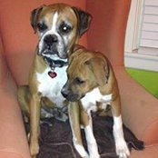SuEllen Seifert's photo
