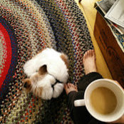 Kate Wheeler's photo