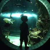 Adam Milford's photo