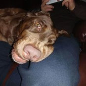 Foto von Heather Longhurst