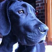 Chantel Woodworth's photo