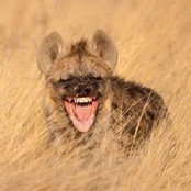Lindsay Rieman's photo