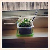 Laura Berry's photo