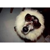 Josee Tremblay's photo