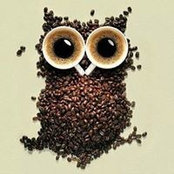 Sarah Chiasson's photo