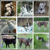 Donna Savoie's photo