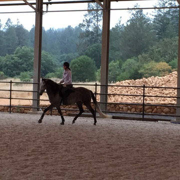 Terra De Belos Cavalos