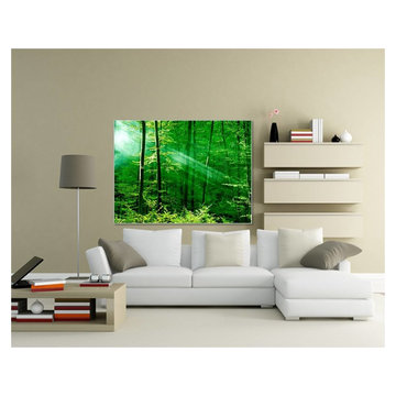 THE BIOPHILIC EFFECT